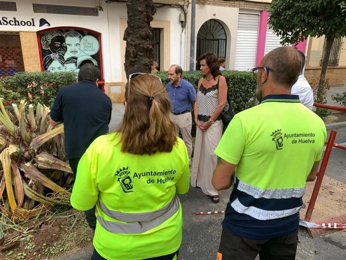 La concejal de Infraestructuras y Servicios Públicos del Ayuntamiento de Huelva, Mariló Ponce, durante los trabajos de inspección de palmeras por parte de técnicos.