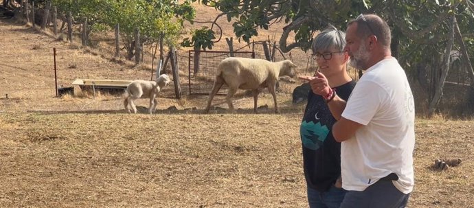 El candidato al Congreso de los Diputados por Sumar en la provincia de Huelva, Rafael Sánchez Rufo, en una finca de Cortegana.