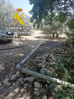 Extracción ilegal de agua para riego de olivar