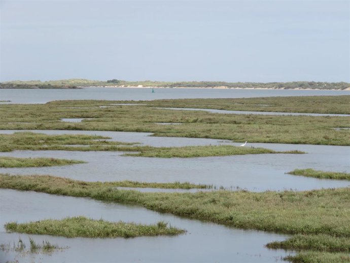 Marismas de la ría del Piedras.