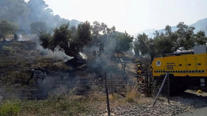 Combaten un pequeño incendio agrícola en el término municipal de Selva