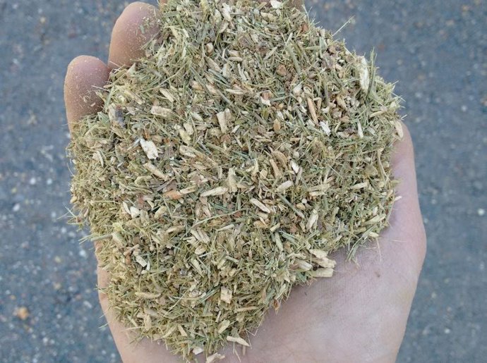 Biomasa de rama finas y hoja trituradas antes de ser peletizada.