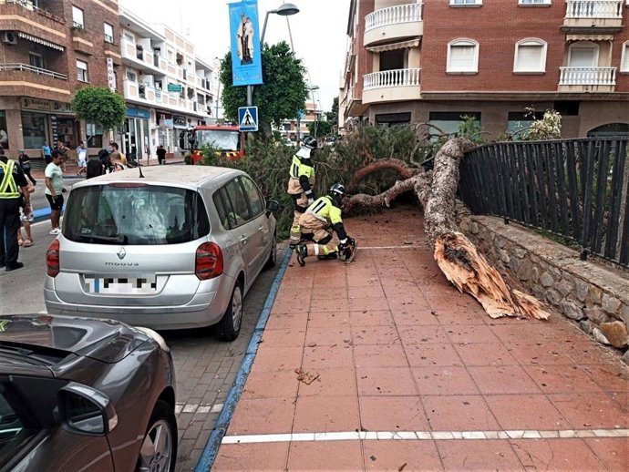 Heridas dos personas al desplomarse un árbol en Santiago de la Ribera
