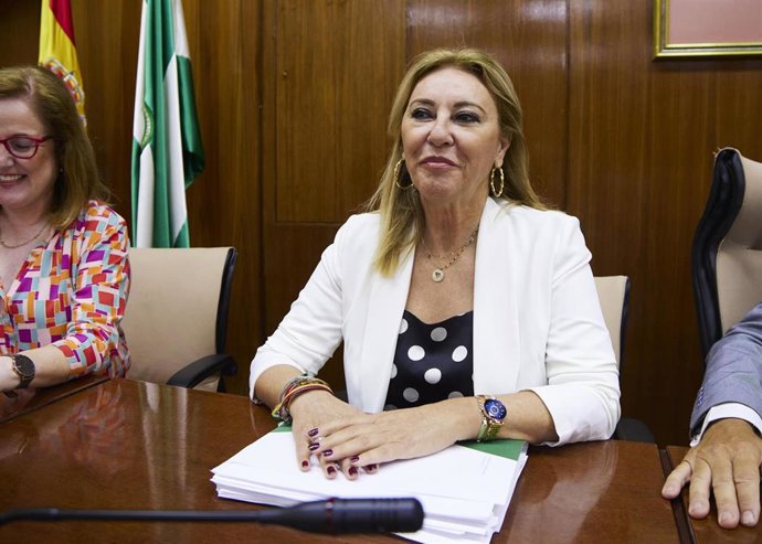 La consejera de Economía, Hacienda y Fondos Europeos, Carolina España, en comisión parlamentaria.