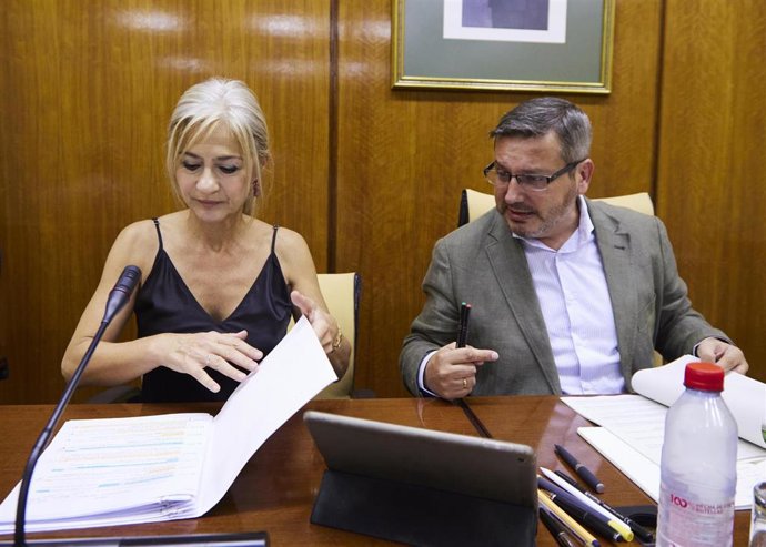 La Consejera De Desarrollo Educativo Y Formación Profesional, Patricia Del Pozo, En Comisión Parlamentaria