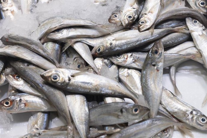 Archivo - Bacaladillas expuestas en una pescadería de un mercado, a 15 de marzo de 2023, en Madrid (España). 