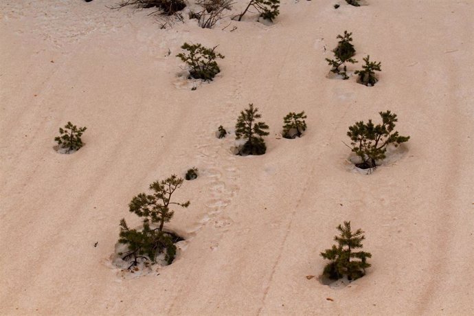 Archivo - Sierra de Guadarrama, a 16 de marzo de 2022, en Guadarrama, Madrid (España), tras el paso de la borrasca Celia por la Península que ha dejado un manto rojizo de polvo y barro