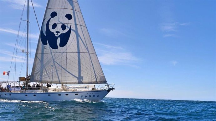 La campaña Blue Panda de WWF llega a España para impulsar la conservación de tiburones y rayas en colaboración con los pescadores