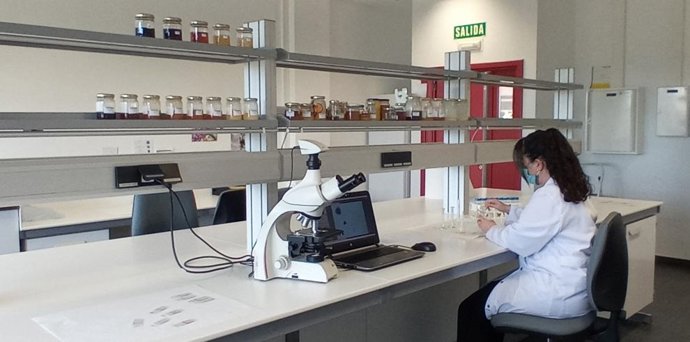 Servicio de análisis de calidad de la miel en el CITA Teruel