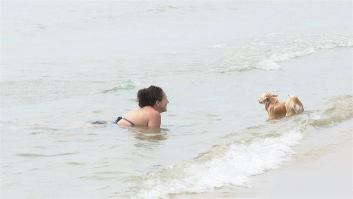 Archivo - Comienza la temporada de baño en la playa canina de Pinedo