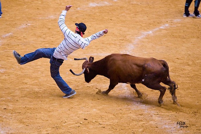 Logroño amplía los días programados para las vaquillas en las fiestas de San Mateo