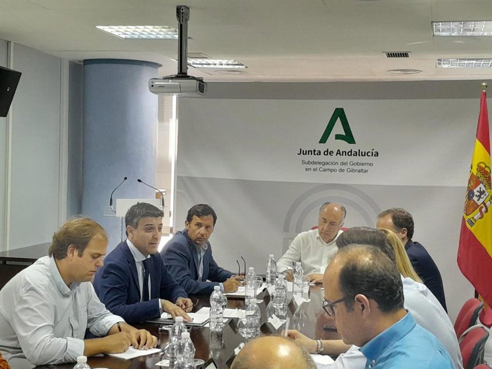 José Ignacio Landaluce en la reunión sobre el hidrógeno verde.