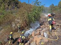 La evolución del incendio de La Palma sigue siendo favorable y los trabajos se centran en evitar rebrotes