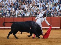 Perera y Juan Ortega sustituirán a Morante en la Feria de Santiago