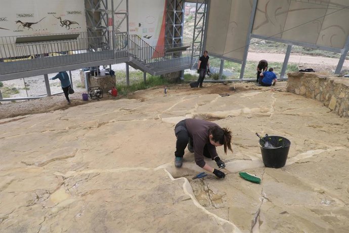 Técnicos especializados de la Fundación Dinópolis trabajando en el yacimiento 'Las Cerradicas'.