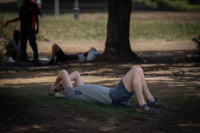 Una persona se cubre del sol bajo un árbol.