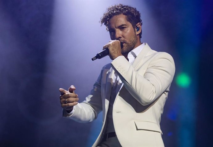 Archivo - David Bisbal en concierto