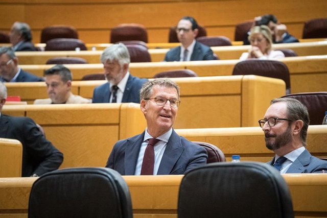 Archivo - El presidente del PP, Alberto Núñez Feijóo (i) y el portavoz del Partido Popular en el Senado, Javier Maroto (d), durante una sesión plenaria en el Senado, a 17 de mayo de 2023, en Madrid (España). El proyecto de Ley por el Derecho a la Vivienda
