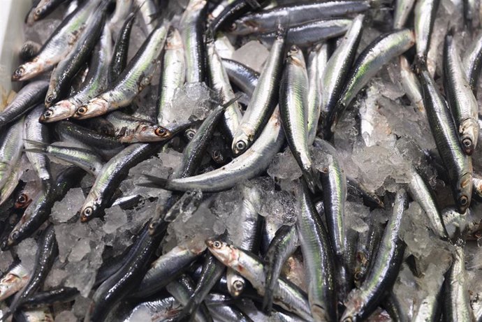 Archivo - Boquerones expuestos en una pescadería de un mercado 