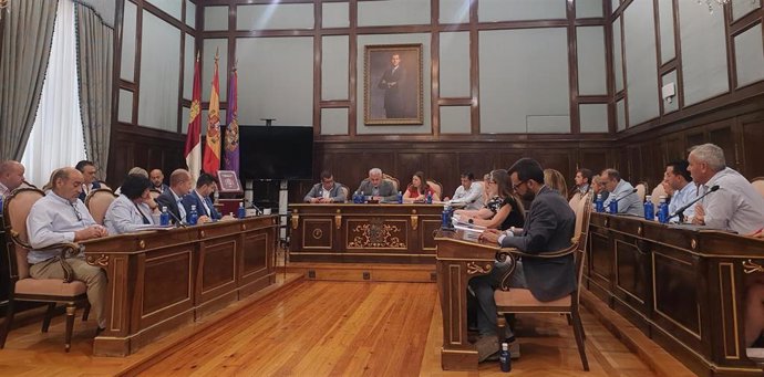 Pleno en la Diputación de Guadalajara.