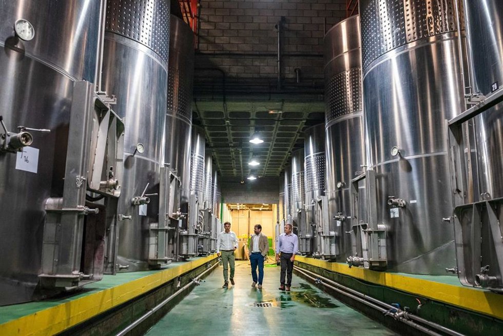 El consejero de Sector Primario del Cabildo de Tenerife, Valentín González, visita una bodega