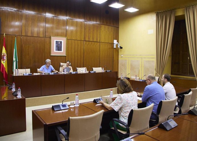 Reunión de la comisión de investigación sobre la Faffe en el Parlamento andaluz. (Foto de archivo).