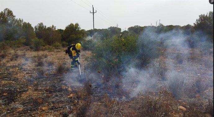 Efectivos combaten un incendio en Cala Pi (Mallorca)