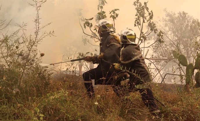 Bomberos en un incendio en el municipio de Jijel, en el noreste de Argelia