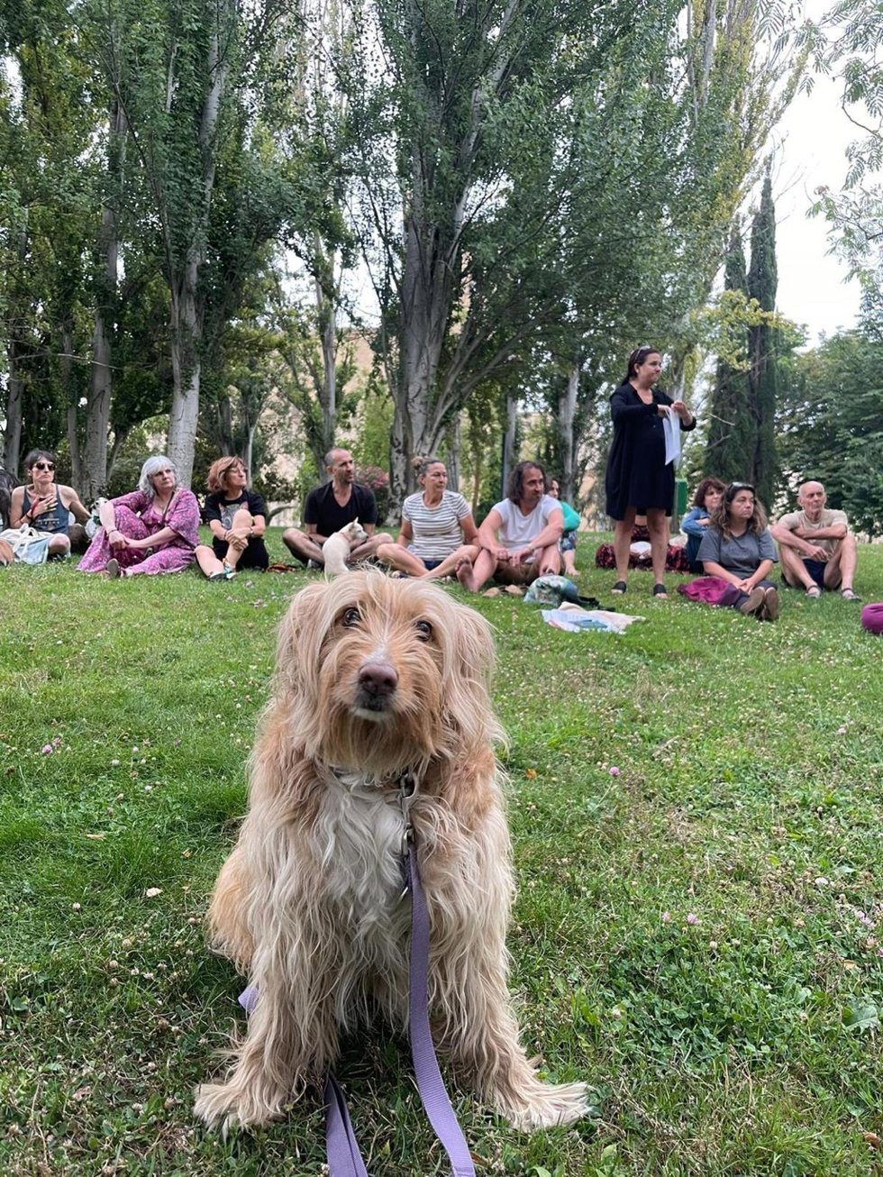 Encuentro en Logroño para iniciar acciones contra la derogación