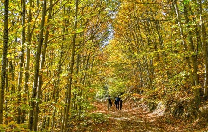 Paradores extiende a Extremadura el programa 'Naturaleza para los sentidos'