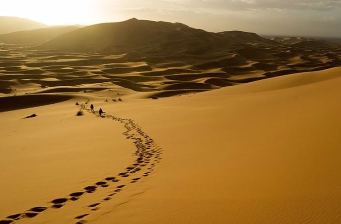 Archivo - Ruta por el desierto