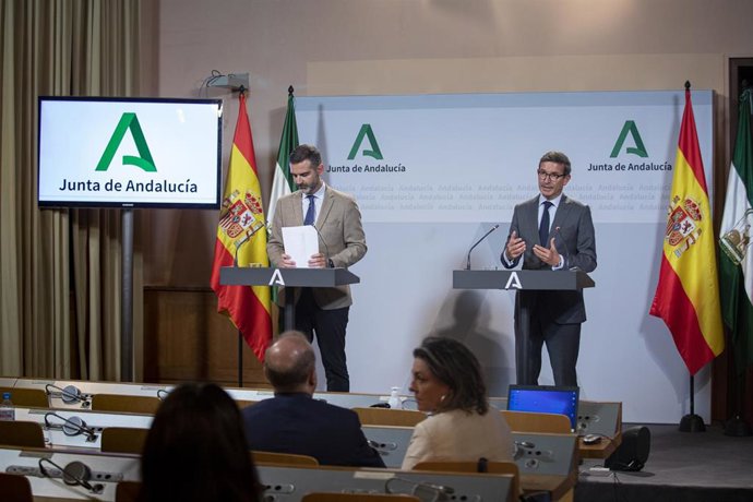 El consejero de Sostenibilidad, Medio Ambiente y Economía Azul y portavoz del Gobierno, Ramón Fernández-Pacheco (i); y el consejero de Industria, Energía y Minas, Jorge Paradela (d), durante la rueda de prensa en el Palacio de San Telmo. A 25 de julio d