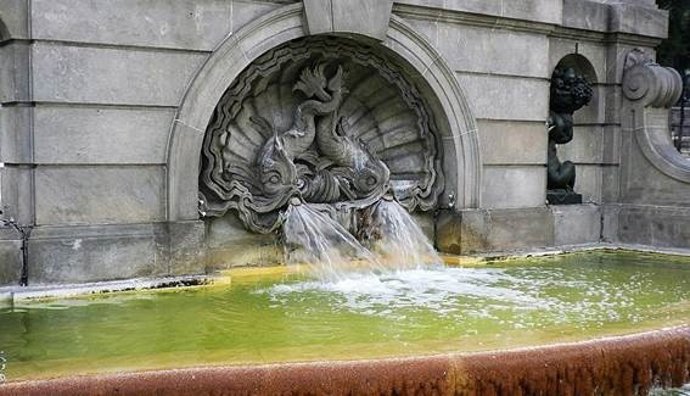 Las fuentes y alcantarillas influyen en la presencia de mosquitos en áreas urbanas.