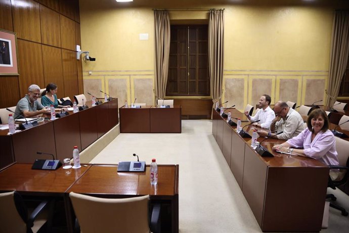 Reunión de la comisión de investigación sobre la Faffe en el Parlamento andaluz.