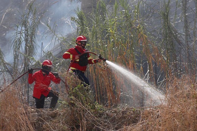 Archivo - LISBON, Sept. 5, 2019  Firefighters try to extinguish a bush fire in Lisbon, Portugal, on Sept. 5, 2019. A bush fire broke out on Thursday in Lisbon, local media reported. (Photo by Pedro Fiuza/Xinhua)