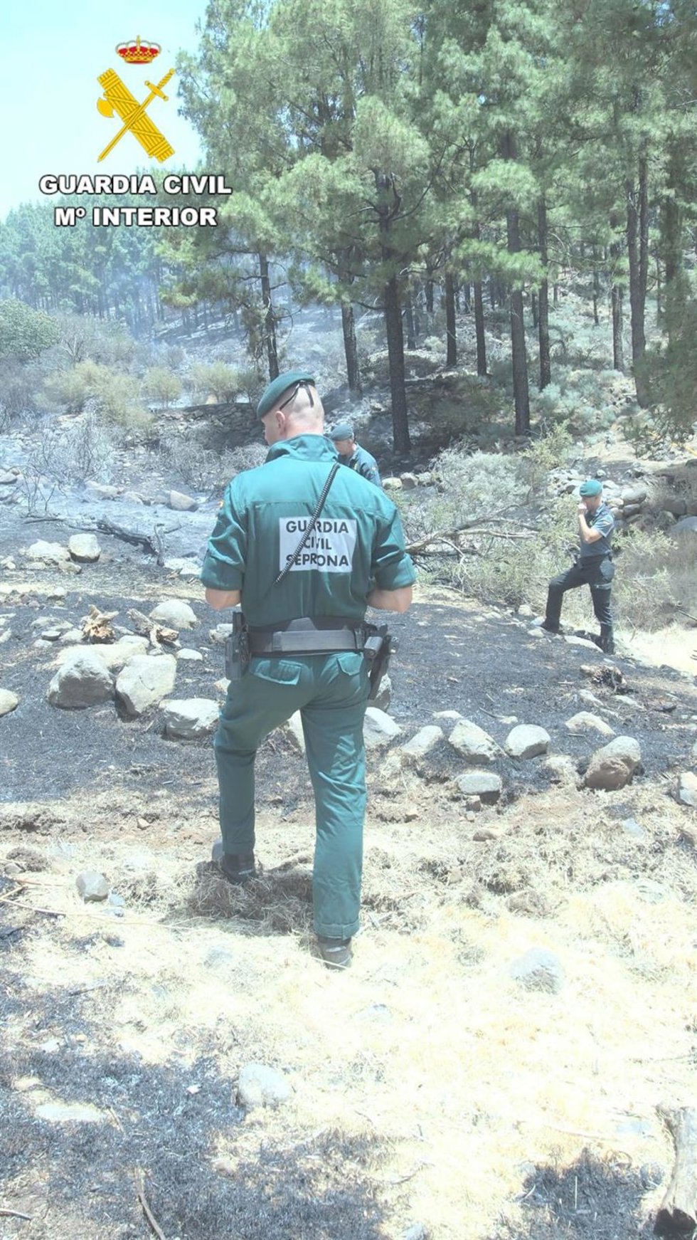 Agentes del Seprona investigan en la zona donde se ha producido el incendio de Tejeda (Gran Canaria)