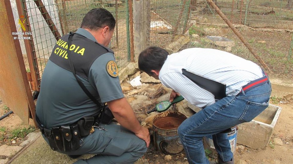 Agentes del Seprona de Aznalcóllar.