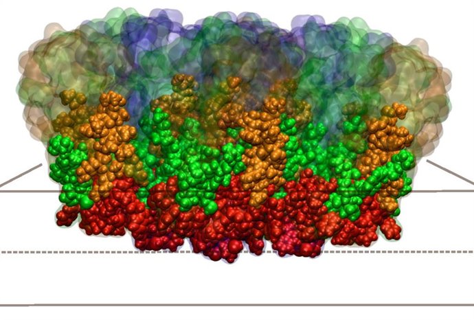 Un análisis virtual del virus del dengue realizado en la UMH halla una diana terapéutica para evitar la infección