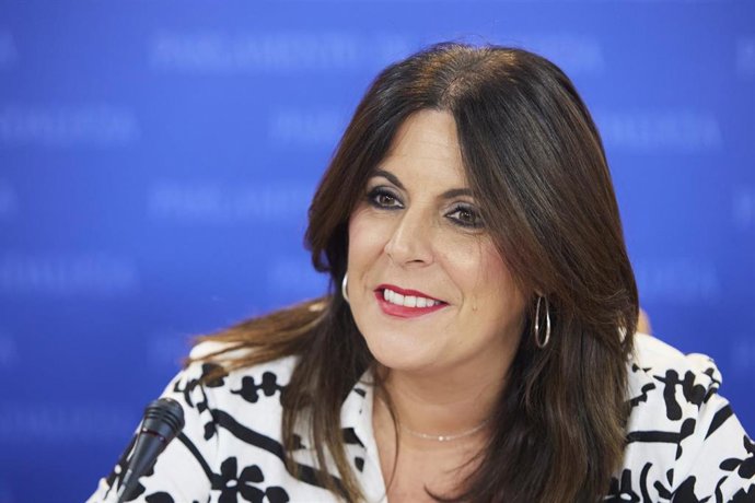 La portavoz del Grupo Parlamentario Socialista, Ángeles Férriz, en una foto de archivo en rueda de prensa.