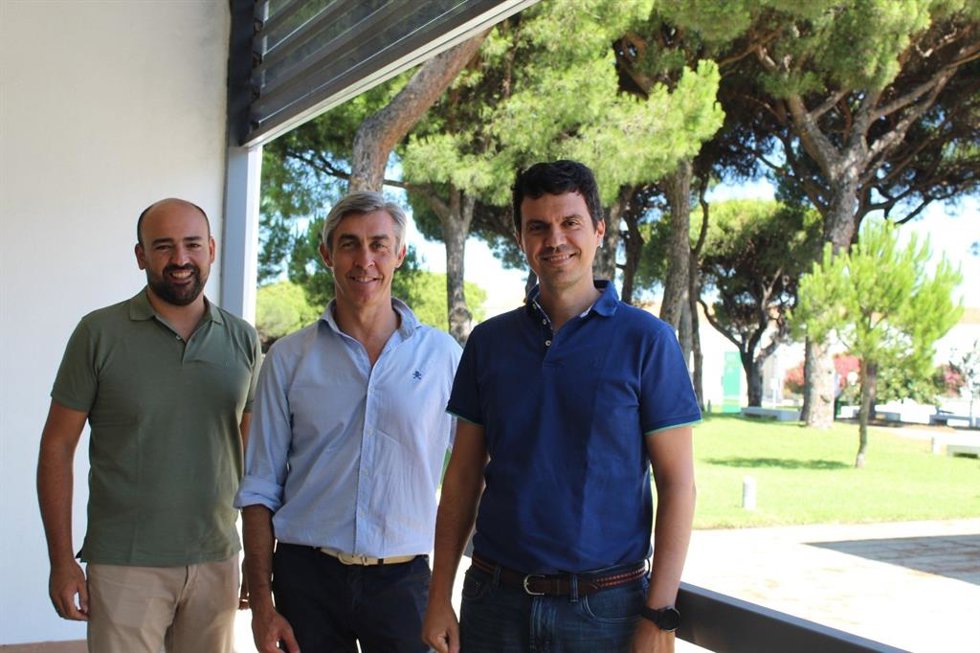 El director del curso de Mecanobiología, José Antonio Sanz Herrera, junto a los expertos Juan Mora Macías y Francisco Javier Martínez Reina.
