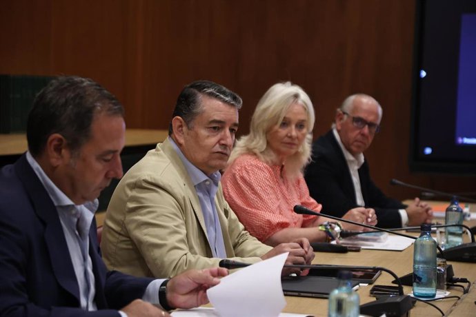 El consejero de la Presidencia, Interior, Diálogo Social y Simplificación Administrativa, Antonio Sanz, este miércoles