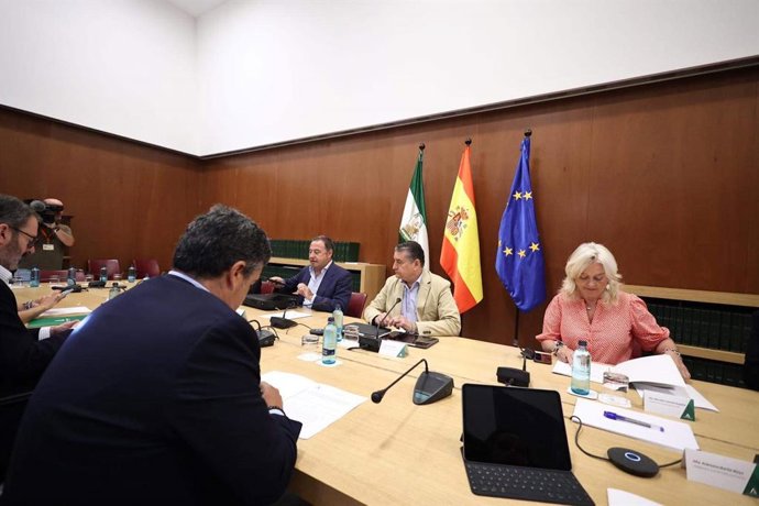 El consejero de Presidencia, Interior, Diálogo Social y Simplificación Administrativa, Antonio Sanz, este miércoles