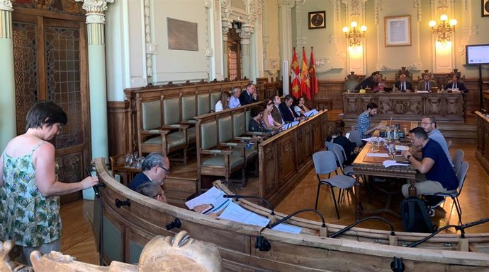 La representante de Ecologistas en Acción Carmen Duce interviene en el Pleno del Ayuntamiento de Valladolid.