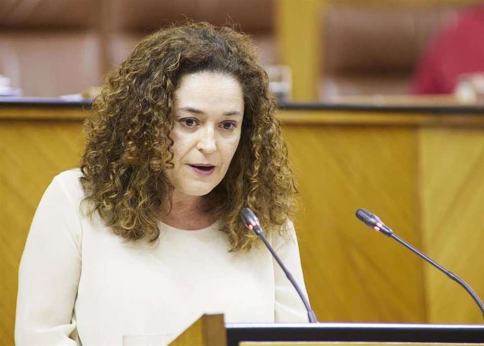 La portavoz de Por Andalucía, Inmaculada Nieto, en el Pleno del Parlamento andaluz. (Foto de archivo).