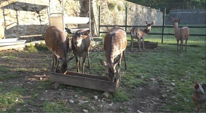 Un total de 281 animales forman actualmente el minizoo de la Taconera.