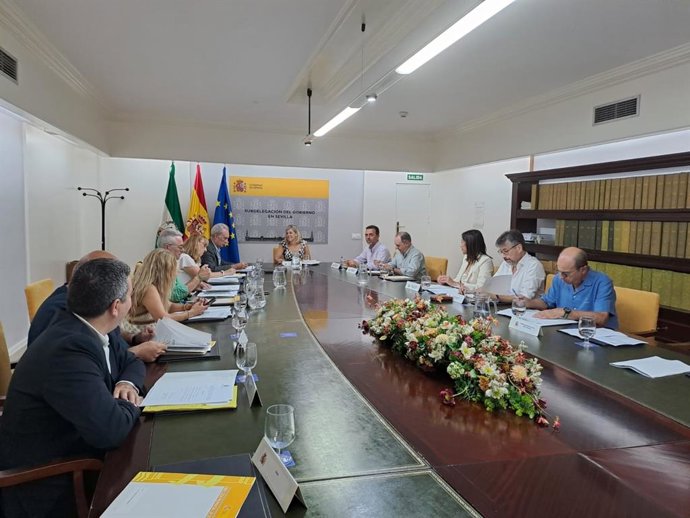 Comisión de seguimiento del PFEA.