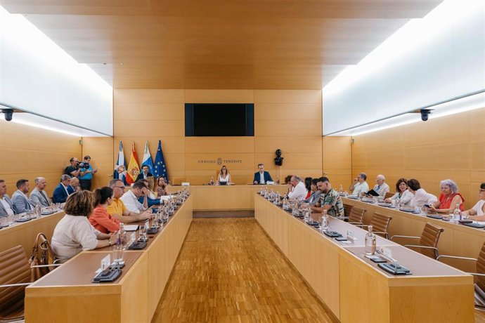 El Cabildo de Tenerife ha celebrado hoy miércoles el primer Consejo Insular de Administración Territorial (CIAT) del mandato