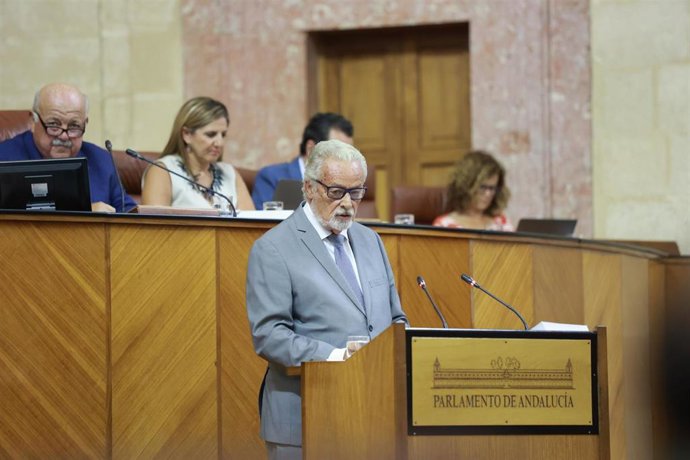 El Defesor del Pueblo Andaluz, Jesús Maeztu, durante su comparecencia este miércoles en el Pleno del Parlamento andaluz
