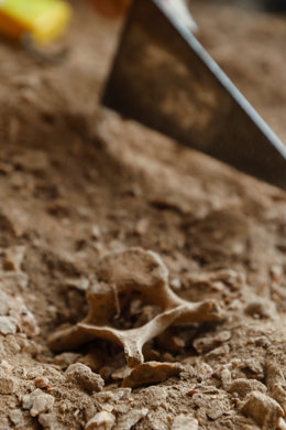 Archivo - Descubren cientos de restos humanos prehistóricos, en una cueva, en la sierra de Orihuela, a 24 de abril de 2022, en Santomera, Murcia, Región de Murcia, (España). Arqueólogos de la Asociación Patrimonio Histórico de Santomera han descubierto 
