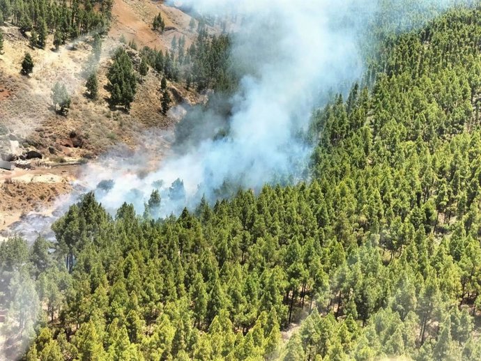 Conato de incendio en el Cortijo de Huertas, en Tejeda (Gran Canaria)